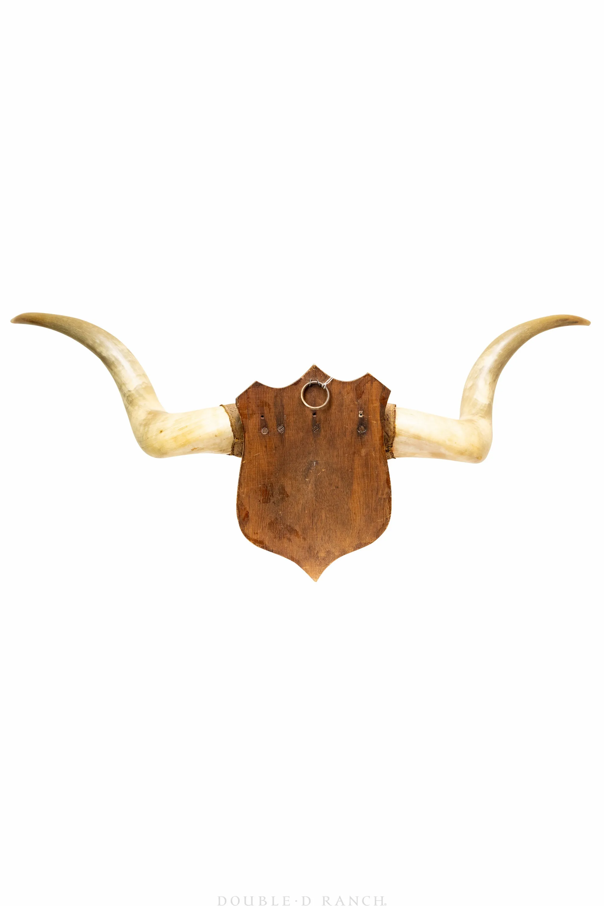 Art, Taxidermy, Longhorns & Hoof, Victorian Mount, late 19th Century, 1053