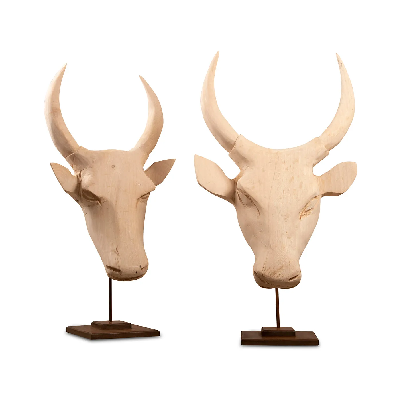 Nguni Head on stand | Natural